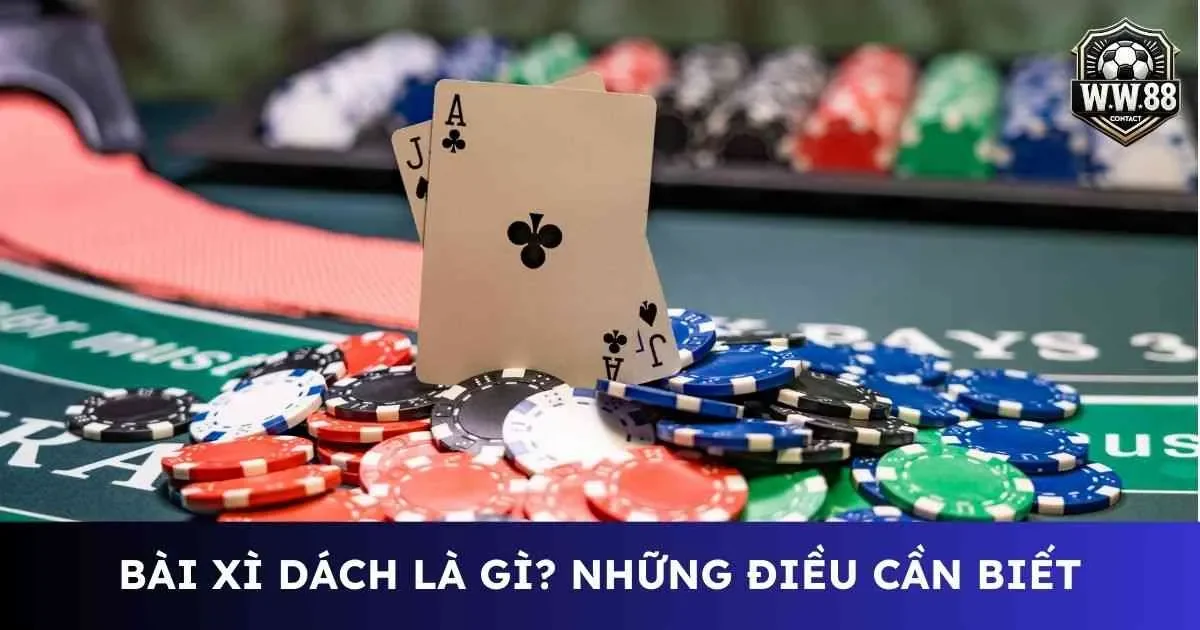 Bài xì dách là gì? Những điều cần lưu ý khi chơi bộ môn này 2 Bài xì dách là gì