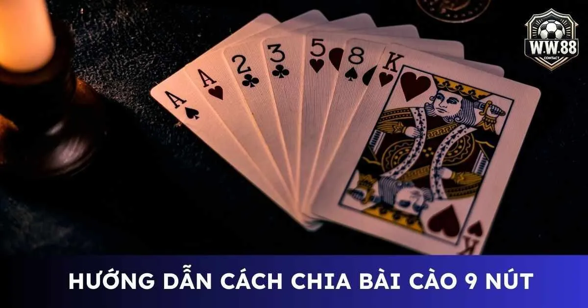 Tìm hiểu cách chia bài cào 9 nút chi tiết, hiệu quả 8 Cách chia bài cào 9 nút