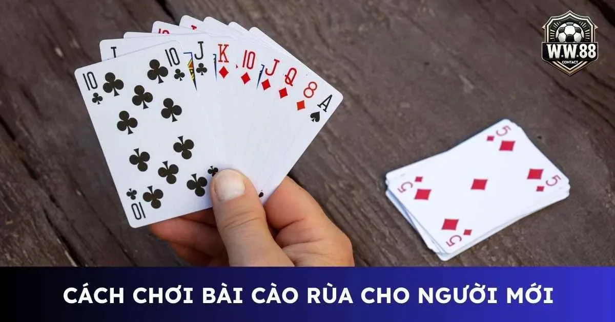 Hướng dẫn chi tiết cách chơi bài cào rùa cho người mới 5 Cách chơi bài cào rùa