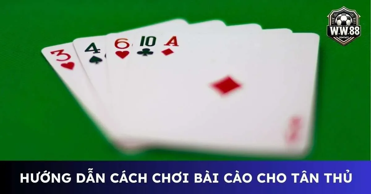 Hướng dẫn cách chơi bài cào chi tiết cho tân thủ 3 Cách chơi bài cào