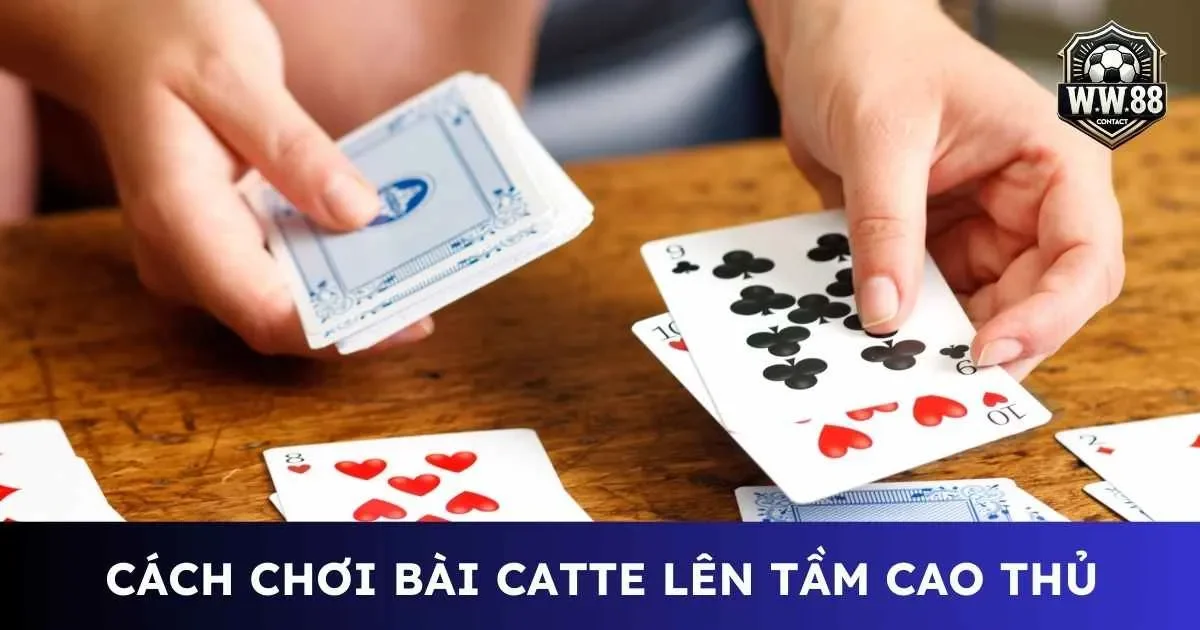 Bật mí cách chơi bài Catte nâng tầm thành cao thủ 2 Cách chơi bài catte
