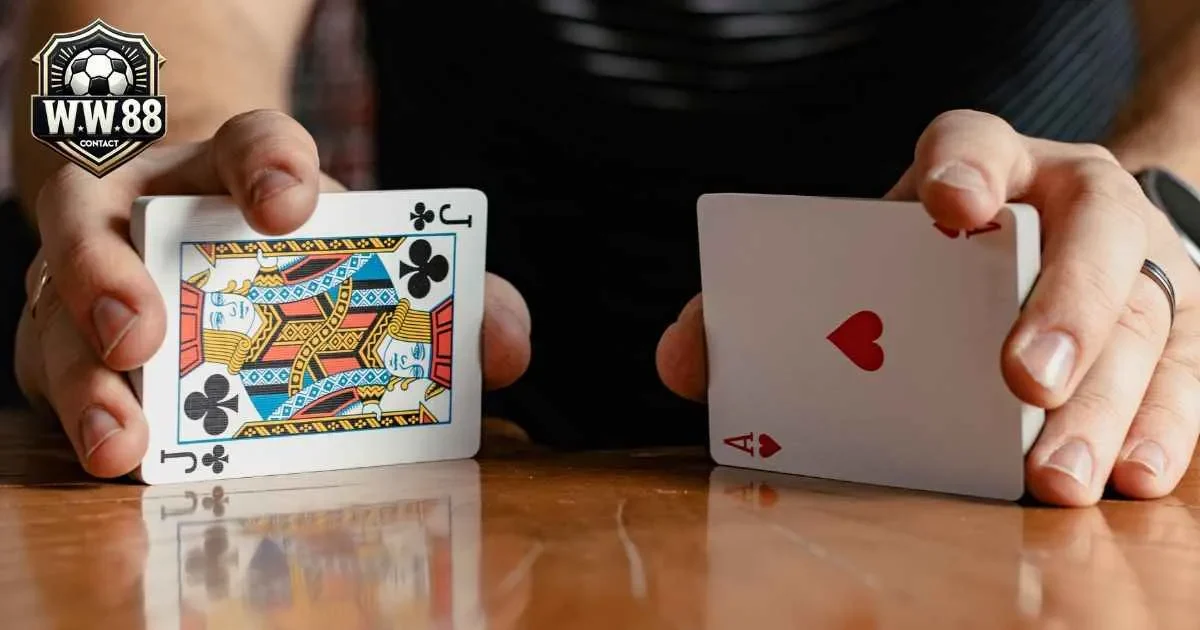 Hướng dẫn cách đánh phỏm bịp chi tiết nhất cho tân binh 3 Cách nhận biết và phòng tránh người biết cách đánh phỏm bịp