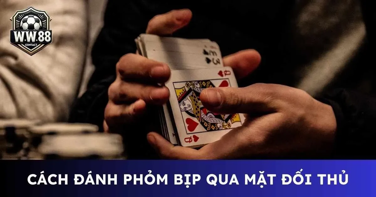 Hướng dẫn cách đánh phỏm bịp chi tiết nhất cho tân binh 5 Cách đánh phỏm bịp