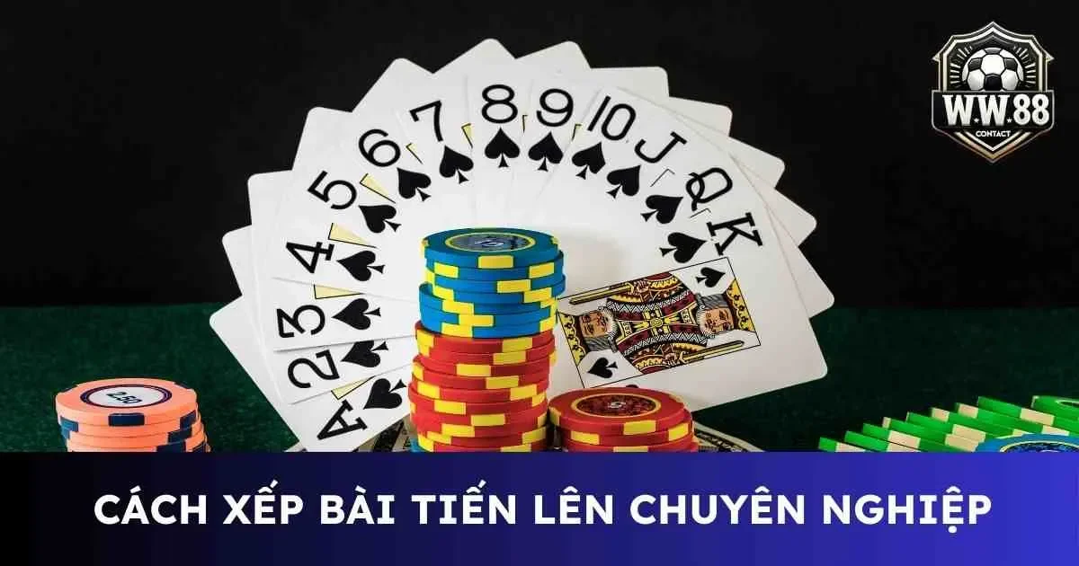 Học hỏi cách xếp bài tiến lên chuyên nghiệp từ chuyên gia 8 Cách xếp bài tiến lên