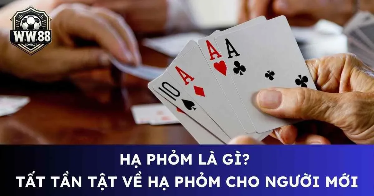 Hạ phỏm là gì? Tất tần tật về hạ phỏm cho người mới 7 Hạ phỏm là gì