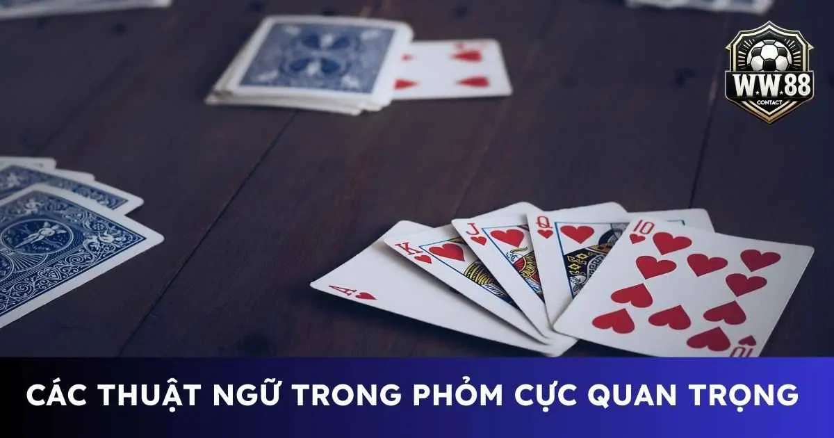 Bỏ túi các thuật ngữ trong phỏm nhất định phải biết 2 Các thuật ngữ trong phỏm