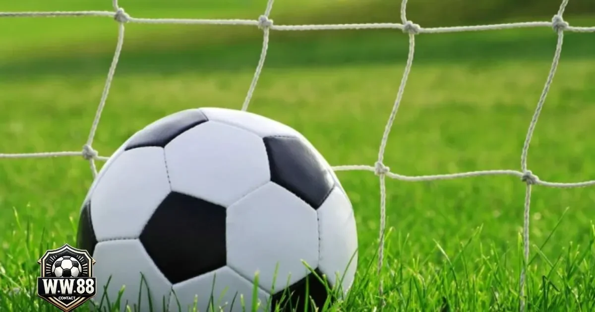 Kèo Chấp 1.25 Là Gì? Hướng Dẫn Đặt Cược & Mẹo Chơi 4 Kèo Chấp 1.25 Là Gì? Khi nào nên đặt cược vào đội cửa trên ở kèo chấp 1.25?