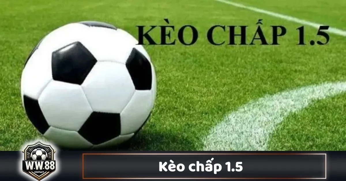 Kèo Chấp 1.5 Là Gì? Cách Đọc Kèo & Chiến Thuật Cá Cược 9 Kèo Chấp 1.5 Là Gì? Cách Đọc Kèo & Chiến Thuật Cá Cược