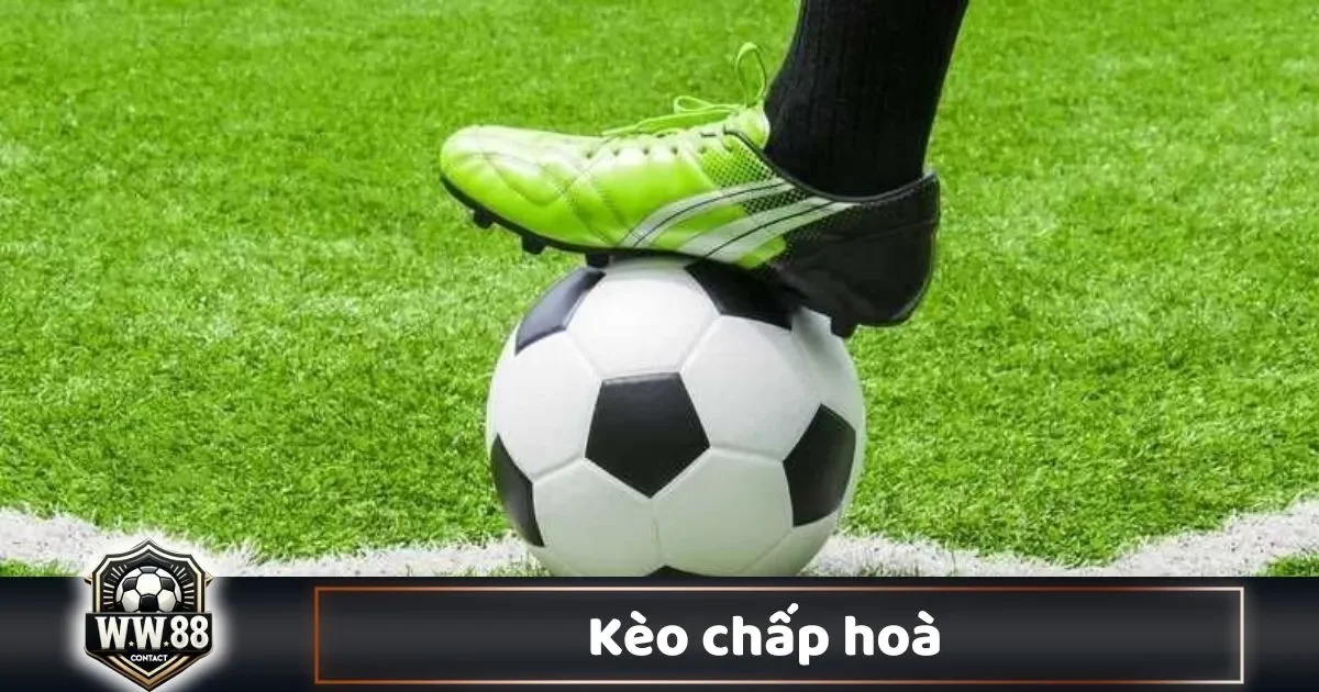 Kèo Chấp Hòa Là Gì? Cách Đọc Kèo & Đặt Cược Tại WW88 2 Khi Nào Nhà Cái Đưa Ra Kèo Chấp Hòa?