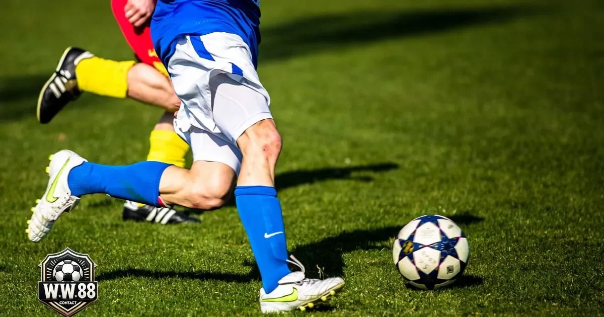 Kèo Châu Âu Là Gì? Cách Đọc Kèo & Cách Chơi Tại WW88 4 Cách tính tiền thắng thua khi chơi kèo châu Âu