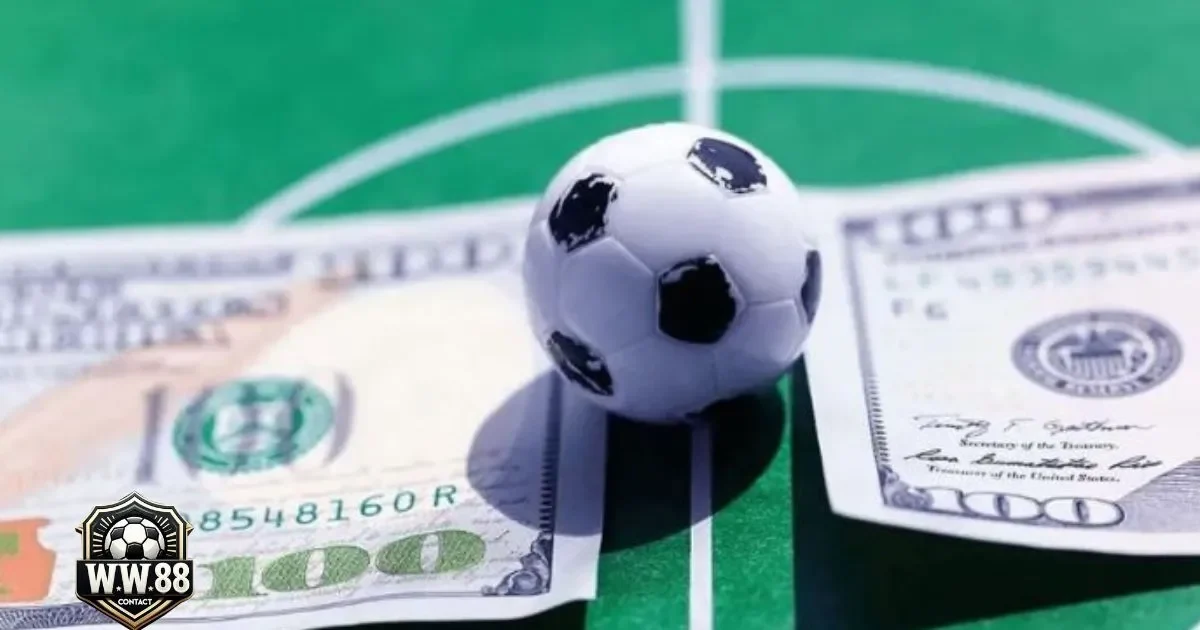 Kèo Đồng Banh Là Gì? Hướng Dẫn Cá Cược & Đọc Kèo 4 Sự Khác Biệt Giữa Kèo Đồng Banh Và Kèo Chấp 0.25