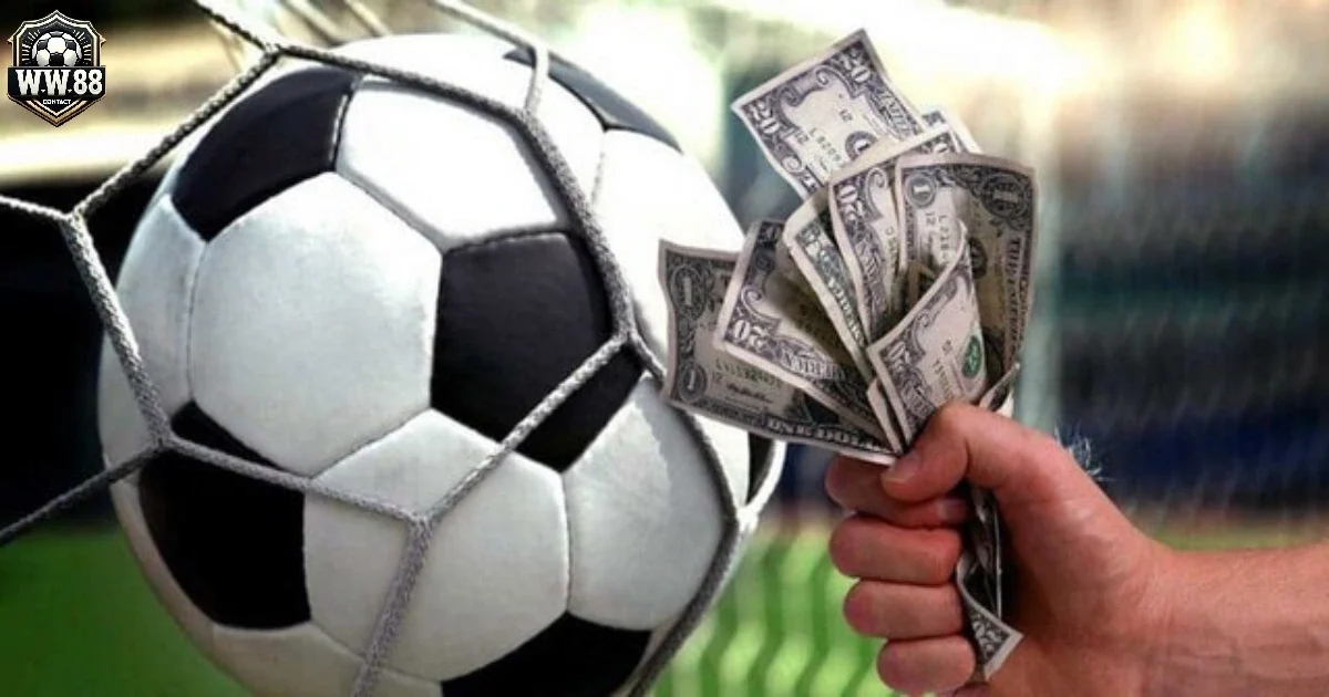 Kèo Tài Xỉu 3.5-4: Đọc Kèo & Đặt Cược Hiệu Quả Tại WW88 3 Lý do ra kèo